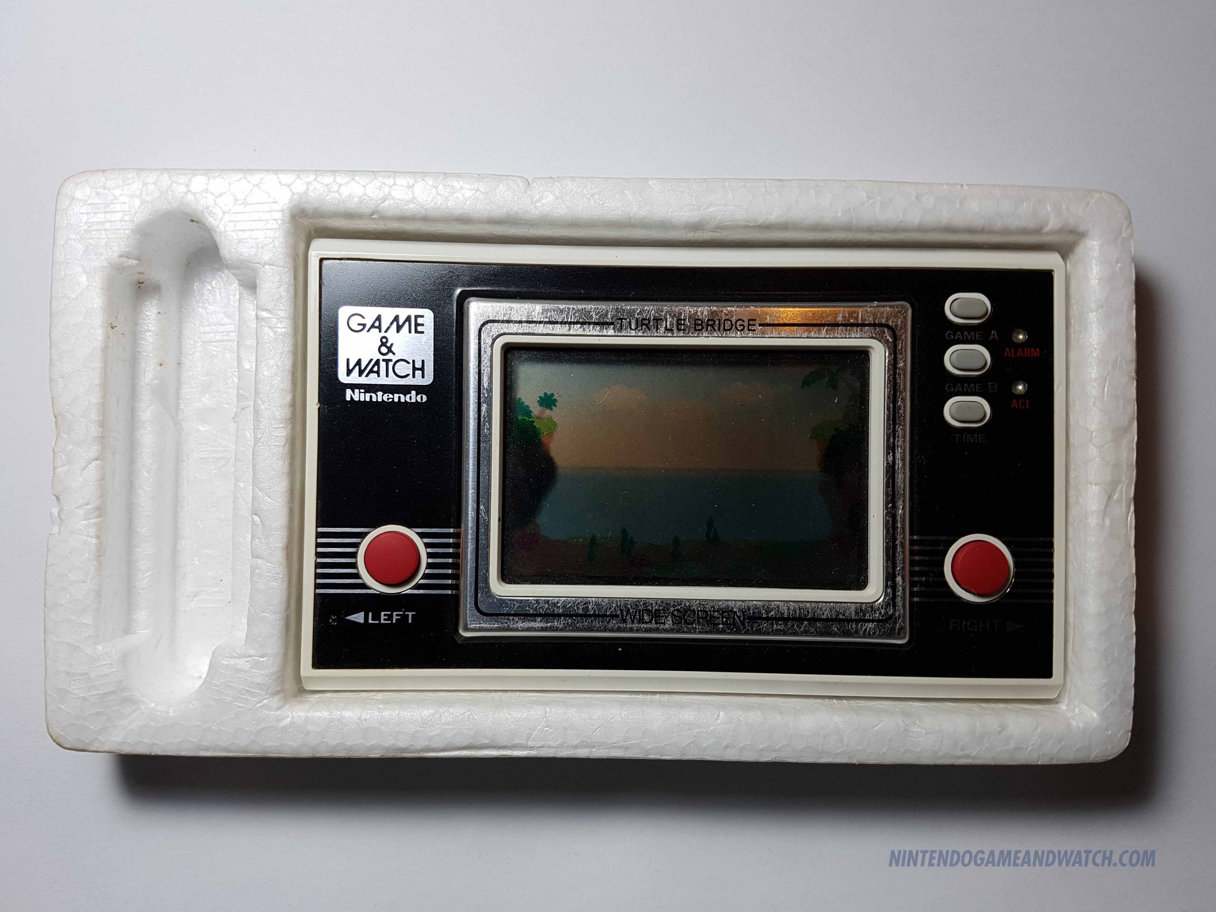 WideScreenTurtleBridge4
